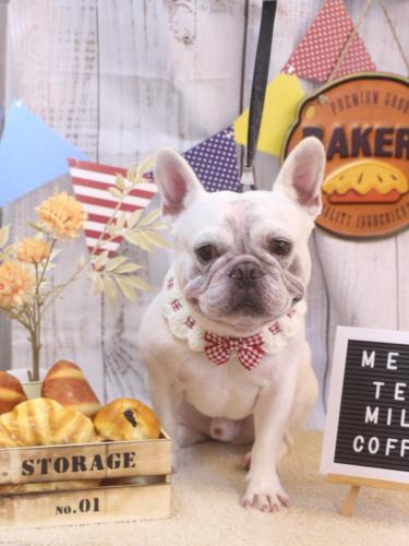 20240901ブーくん